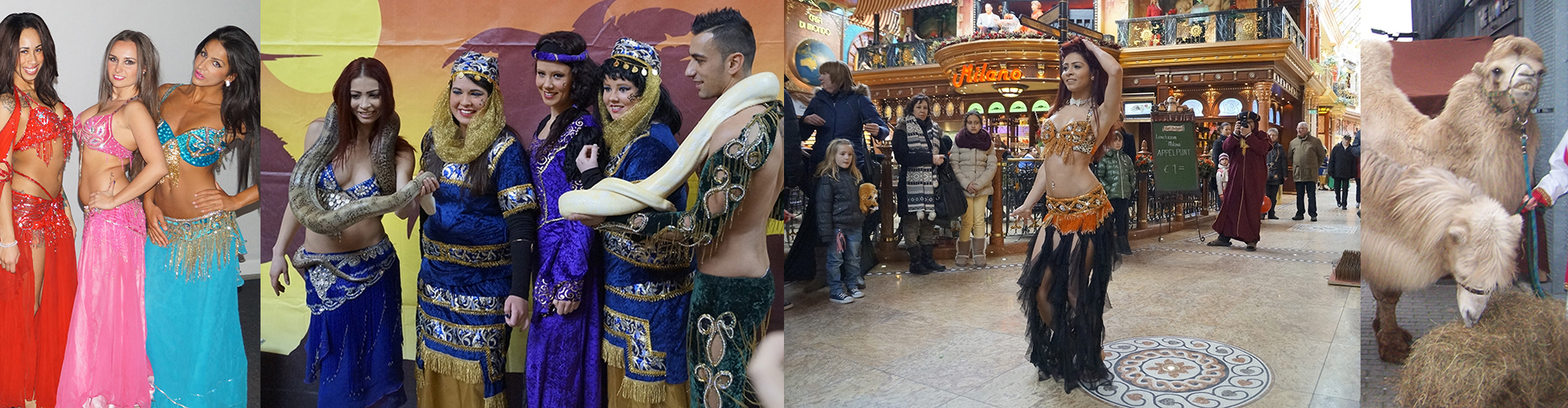 Aladin Themafeest